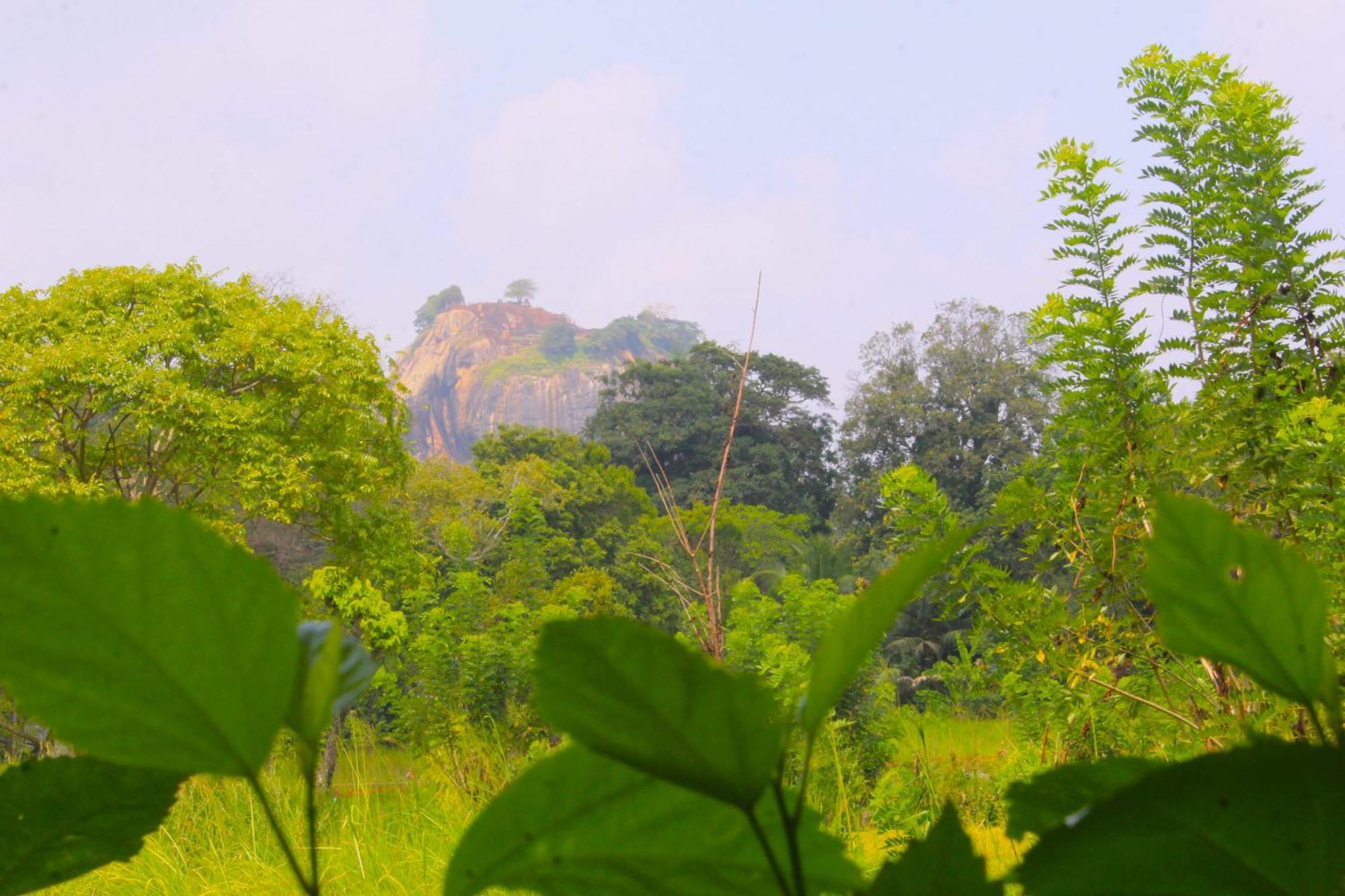 Sigiriya Palace View Buitenkant foto